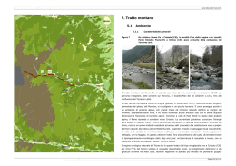 Tratto montano - Autorit&agrave; di bacino del fiume Po