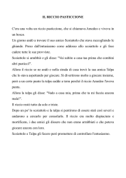 IL RICCIO PASTICCIONE C`era una volta un riccio