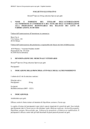 FOGLIETTO ILLUSTRATIVO Droncit&reg; Spot