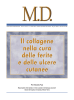 Prof. Massimo Papi Responsabile Unità Operativa “Ulcere cutanee