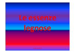 Giovanni Pomilio - Le essenze legnose