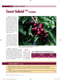 Sweet Gabriel ™ PA3UNIBO