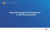 Neurofisiologia dell`Orgasmo e dell`Eiaculazione