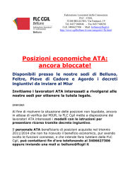 Posizioni economiche ATA: ancora bloccate!