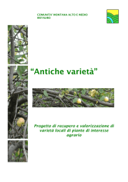 “Antiche varietà” - Comunità Montana Alto e Medio Metauro