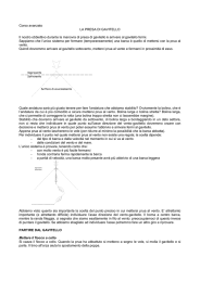 Il nostro obbiettivo duirante la manovra di presa di