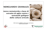 Nemguard Granules, nematocida a base di estratto di aglio: un