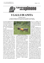 i galli di anita - giornale dello spinone