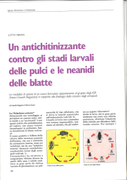 Un antichitinizzante contro gli stadi larvali delle pulci e le neanidi