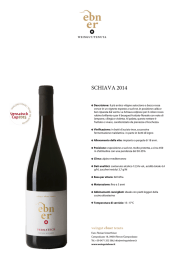 schiava 2014 - Weingut Ebner.