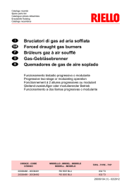Bruciatori di gas ad aria soffiata Forced draught gas