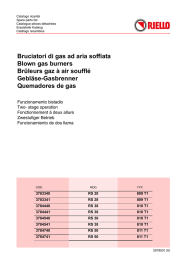 Bruciatori di gas ad aria soffiata Blown gas burners Br&ucirc;leurs