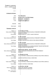 formato europeo per il curriculum vitae