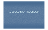 il suolo e la pedologia - ITAS Cantoni Treviglio