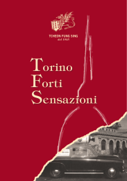 Torino Forti Sensazioni