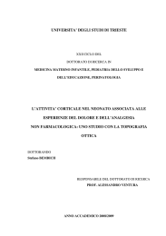 universita` degli studi di trieste l`attivita` corticale nel neonato