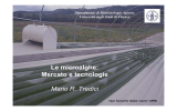 Le microalghe: Mercato e tecnologie Mario R. Tredici