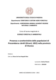 Documento PDF - Università degli Studi di Padova