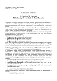 il documento