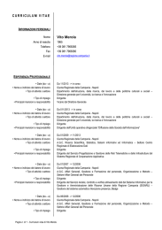 CURRICULUM VITAE Vito Merola