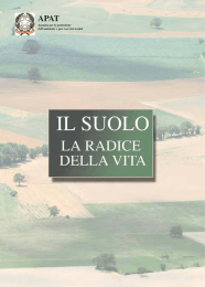 suolo radice della vita