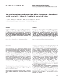 Due casi di mesotelioma tra gli operai di una officina di costruzione