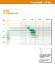 Piccoli frutti · Mirtillo Epoca di maturazione