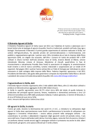 Il Distretto Agrumi di Sicilia L`agrumicoltura in Sicilia, dati Gli agrumi