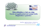 Microfluidica e lab on chip