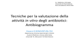 Diapositiva 1 - Università degli Studi "G. d`Annunzio"