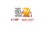 B Corporation - paolo di cesare.pptx
