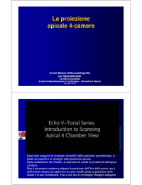 scarica pdf - cardiolearn.altervista.org