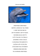 Canzone dei Delfini - asilo abbiate guazzone