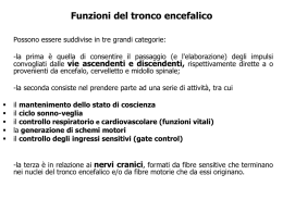 Configurazione interna del tronco encefalico e nervi cranici