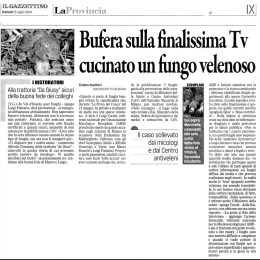 Articolo de "Il Gazzettino" del 15 luglio 2014