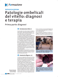Patologie ombelicali del vitello: diagnosi e terapia
