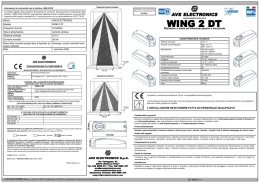 WING 2 DT ist0650V1.1