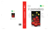 il pomodoro - Image Line Network