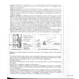 , analgesici narcotici (es. peticlina im 0 cv): si tratta di farmaci di