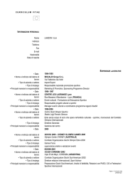 Lanzoni Igor - curriculum vitae