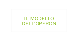 Lezione 12 -IL MODELLO OPERONE