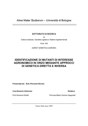 Documento PDF - AMS Tesi di Dottorato