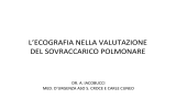 l`ecografia nella valutazione del sovraccarico polmonare