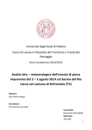 Analisi idro &ndash; meteorologica dell`evento di piena improvvisa del 2