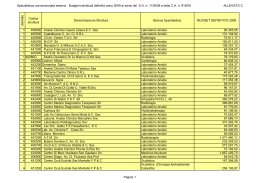 budget individuali allegato c