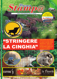 “STRINGERE LA CINGHIA”