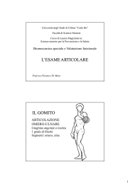 l`esame articolare il gomito - Università degli Studi di Urbino