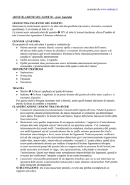 scaricato da www.sunhope.it 1 ARTICOLAZIONE DEL GOMITO