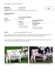 Elitekatalog Holstein - Südtiroler Rinderzuchtverband