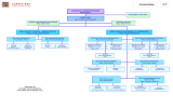 ORGANIGRAMMA CONSIGLIO D`AMMINISTRAZIONE